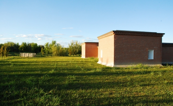 Foresta della Carpaneta