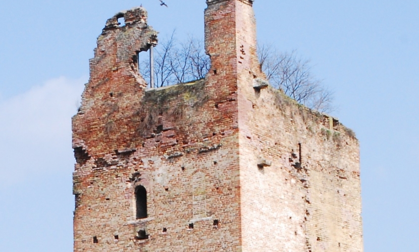 Veduta della torre di Castel d'Ario