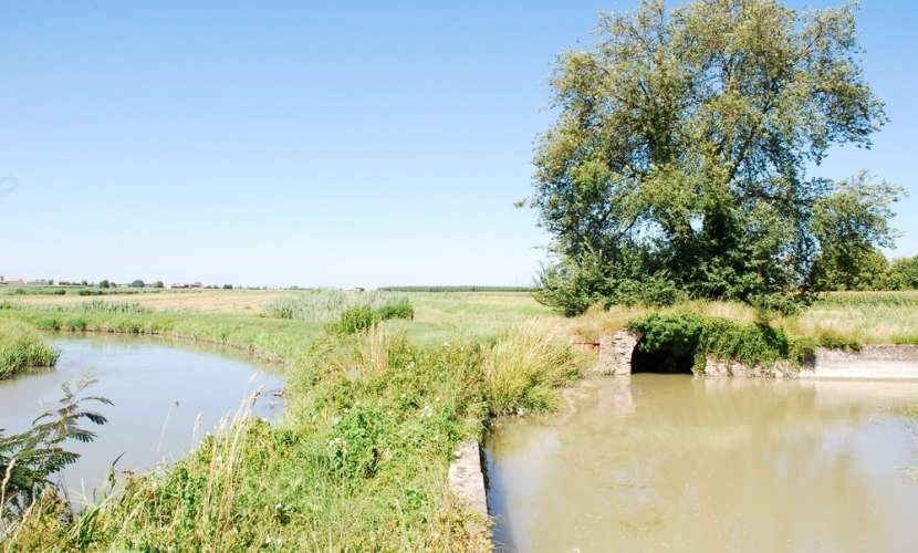 Canale Conduttore, Mantova