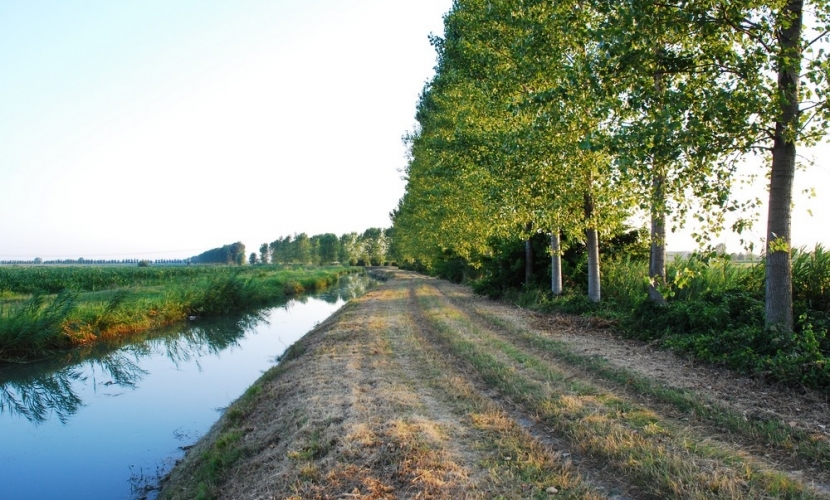 Canale Molinella a Castel D'Ario